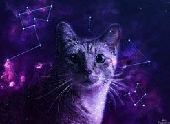 Image result for Black Cat with Galaxy Eyes