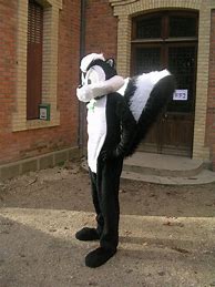 Image result for Pepe Le Pew Halloween Costume