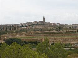Image result for Covilalba Terra Alta Fill del Temps Gran Seleccio Vilalba dels Arcs Tarragona