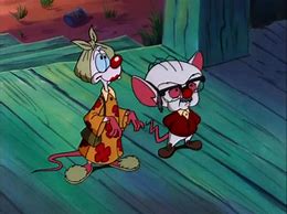 Image result for Narf Pinky and the Brain