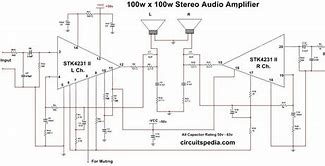 Image result for Car Audio Amplifier Circuit Diagram