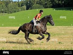 Image result for Horse Galloping with Rider