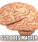 Image result for What a Brain Meme