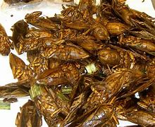 Image result for Deep Fried Crickets