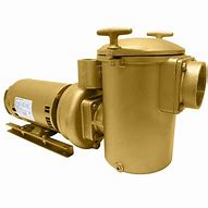 Image result for Brass Swivel Nut Pool Pump