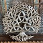 Image result for Celtic Knot Tree of Life