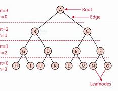 Image result for Prefix Tree Data Structure