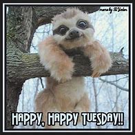 Image result for Tuesday Sloth Meme