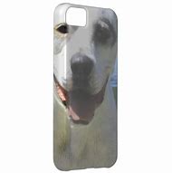 Image result for iPhone 5C Dog Cases