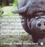 Image result for Animal Farm Quotes