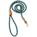 Image result for Hooks for Dog Leashes