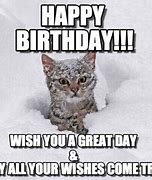 Image result for Funny Cat Birthday Memes