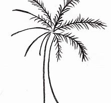 Image result for Palm Tree Line Drawing