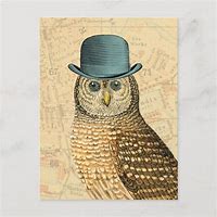 Image result for Cartoon Owl with Derby Hat