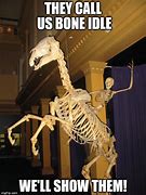 Image result for Qxc Skeleton Meme