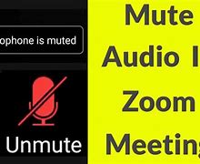 Image result for iPhone Mute Button Switch