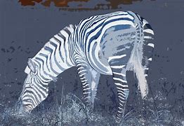 Image result for Zebra Printer GK420d