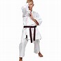 Image result for Karate Brown Belt Represents