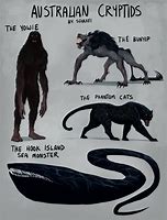 Image result for Phantom Cat Cryptid