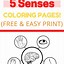 Image result for Five Senses and Brain