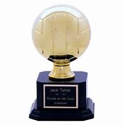 Image result for Volleyball Trophy White Ball