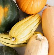 Image result for How Many Varieties of Winter Squash