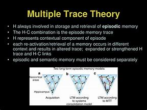 Image result for Trace Model of Memory