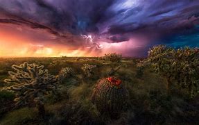 Image result for Arizona Desert Storm