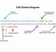 Image result for CSE Citation Rules