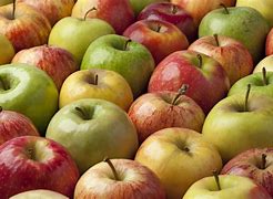 Image result for One Medium Apple
