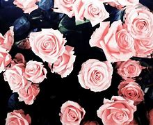 Image result for Girly Aesthetic Wallpapers Laptop