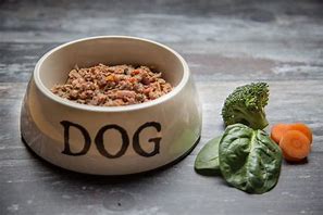 Image result for Natural Dog Food