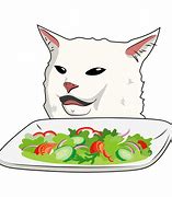 Image result for Confused Cat Meme Transparent PNG