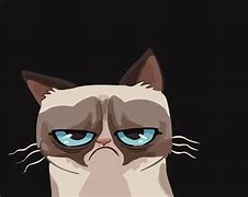 Image result for Animated Grumpy Cat