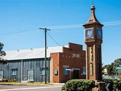 Image result for Bogan Gate NSW Big Things