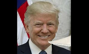 Image result for Trump Inc