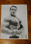 Image result for Arnold Schwarzenegger Bodybuilding Back