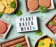 Image result for Organic Plant-Based Meat Replacement
