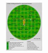 Image result for Cricket Wicket Hight