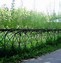 Image result for Willow Garden Fence