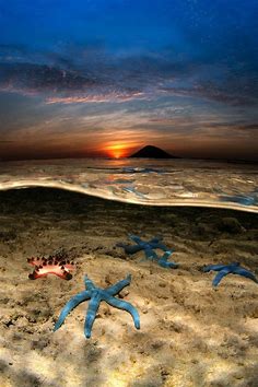 Indonesia’s Natural Beauty In 22 Breathtaking Photos | WowShack | Nature, Under the sea, Scenery