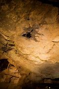 Image result for Water Dripping Cave
