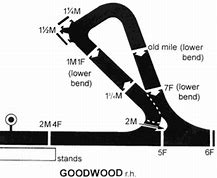 Image result for Goodwood Racecourse Reception Map