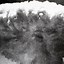 Image result for Japan Nuclear Bomb Mushroom Cloud