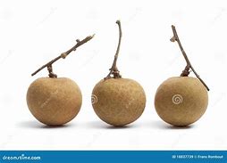 Image result for Fruits with Stems