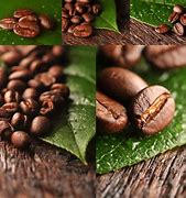 Image result for Sens Coffee Beans
