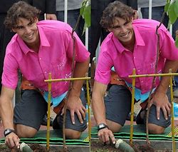 Image result for Image of Rafa Nadal with Tennis Raquet