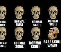 Image result for Skull Meme Meaning