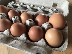 Image result for Organic Eggs