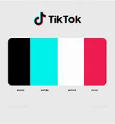 Image result for Tik Tok Colored FaceTime Logo